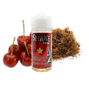 Aroma Journey Shake 10/100ml – Saljut